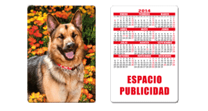 Almanaques y Calendarios